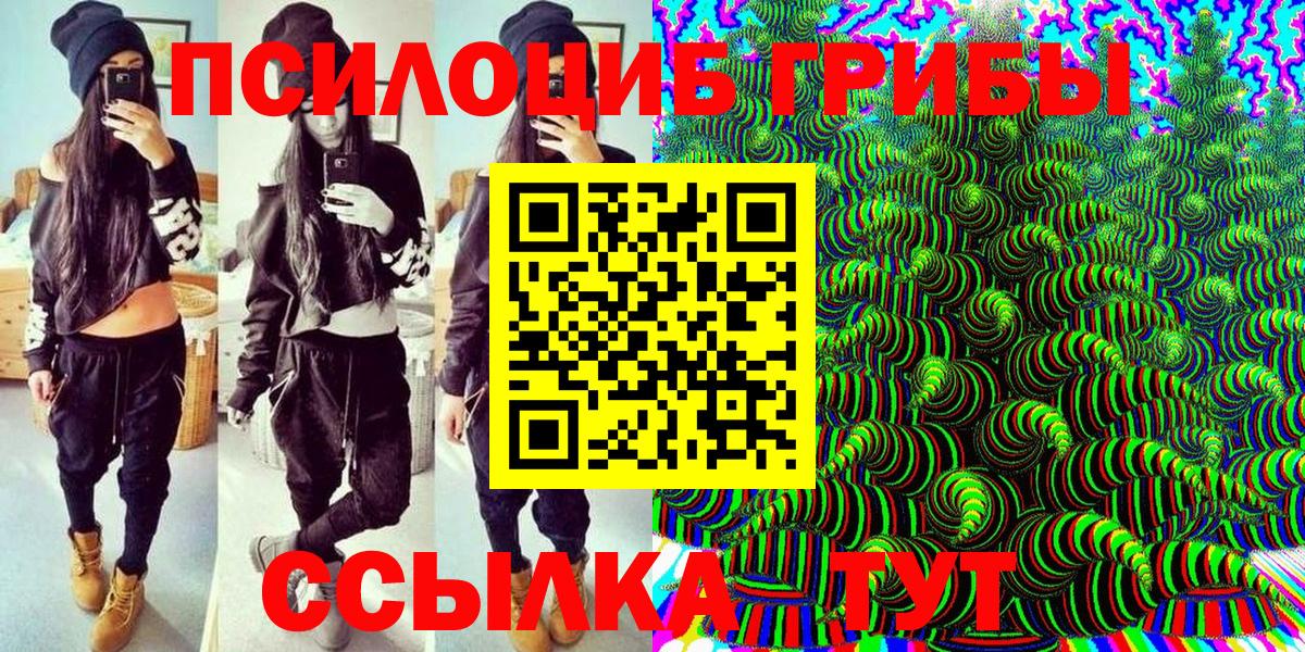 Качканар  Галлюциногенные грибы Psilocybe  Вход с VPN 