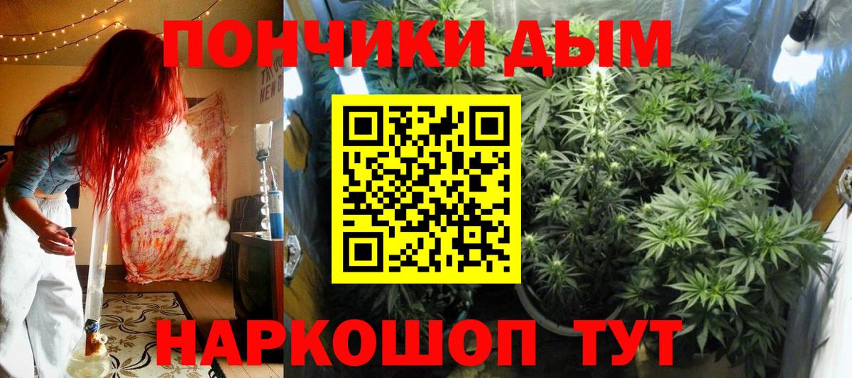 Канабис ГИДРОПОН Качканар